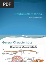 Phylum Nematoda PDF