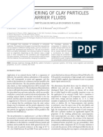 Dipolar Ordering of Clay Particles in Various Carrier Fluids