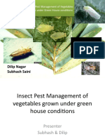 Insect Pest Management of Vegetables Grown Under Green