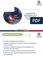 Clase Gran Quemado PDF