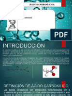 Ácidos Carboxilicos