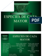 Especies de Caza Mayor