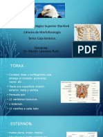 Caja Torácica MD Martin Lescano