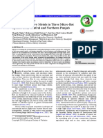 Detection of Heavy Metals in Three Micro-Bat Species From Central and Northern Punjab