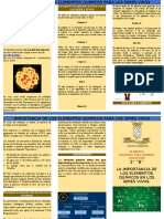 Triptico Importancia de Los Elementos en Los Seres Vivos