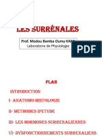 4-Les Surrénales