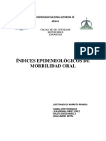 Libro Índices Epidemiológicos PDF