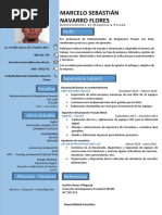 CV Marcelo Navarro Tecsup PDF