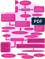 Mapa Conceptual