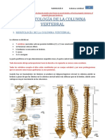 E17 - Radiologia de La Columna Vertebral Revisada