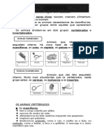 Ficha-Informativa-Animais-Vertebrados-e-Invertebrados 3º Ano