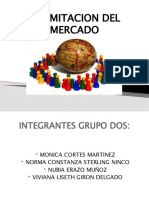 Delimitacion Del Mercado