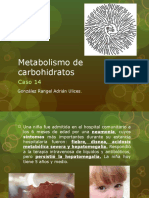 Metabolismo de Carbohidratos