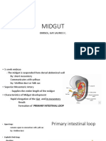 5 MIDGUT Reporting