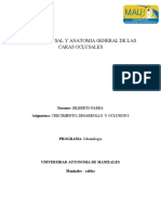 Tabla Oclusal y Anatomia General de Las Caras Oclusales