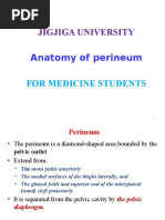 Jigjiga University: Anatomy of Perineum