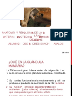 (PDF) Anatomia y Fisiologia de La Glándula Mamaria de Animales Domesticos