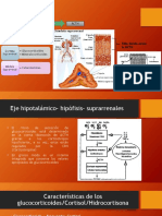 Hidrocortisona