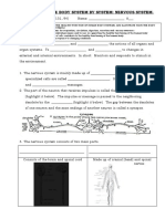 Nervous System Worksheet