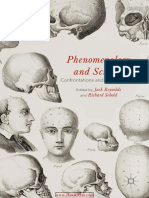 Phenomenology PDF