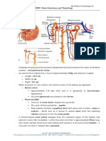 PRELIMS (LECTURE I) : AUBF: Renal Anatomy and Physiology Renal Anatomy