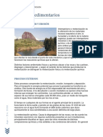 Petro Sedimentaria Unidad 1 PDF