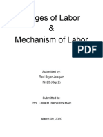 Stages and Mechanism of Labor