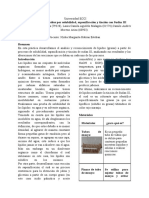 INFORME DE BIOQUÍMICA-Lípidos