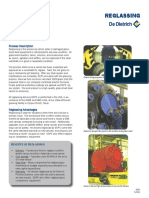 DDPS Reglassing PDF