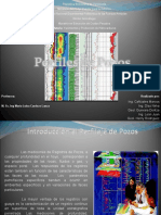 Tema 6 Perfiles de Pozo