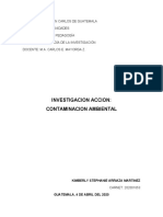 Informe de Contaminación Ambiental