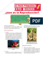 Qué Es La Reproducción para Sexto de Primaria PDF