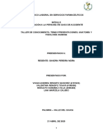 Taller de Conocimiento, Temas Presentaciones Anatomía y Fisiología Humana Equipo 4