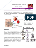 FT Nc2ba 8 - Sistema Imunitario PDF