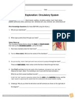 CirculatorySystem Gizmo