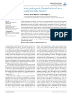 Is The Concept of Avian Pathogenic Escherichia Coli As A Single Pathotype Fundamentally Flawed?