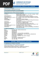 FDS GTM CARBONATO DE POTASIO Revisión 4 PDF