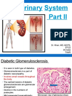 The Urinary System: Dr. Khan, MD, MCPS, DTCD PA 5402 T/W/R