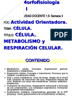 Metabolismo y Respiración Celular