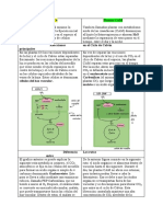 Plantas C4 Vs CAM