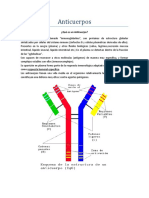 Anticuerpos