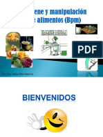 Diapositivas Capacitacion General BPM