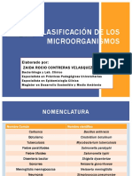 Clasificacion de Los Microorganismos