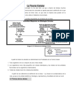 Actividad Biologia Pre-Icfes R