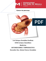 Cáncer de Páncreas PDF