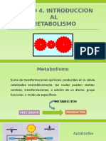 Unidad 4. Introduccion Metabolismo de Carbohidratos