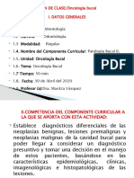 PLAN Oncologia Bucal.2020