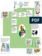 Infografia 2 Resolucion de Conflictos