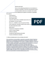 Cuestionario - Docx AZUFRE