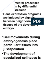 Cell Commitment N Determination